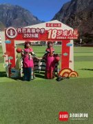 还能生成提拔版范